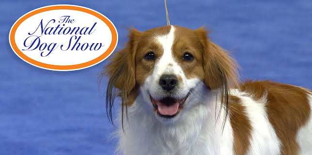 The National Dog Show (2018) (2026)