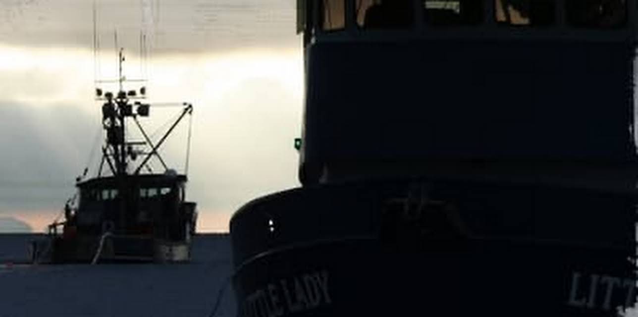 The Viking Maid (2008)