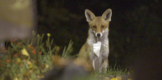 01:19: Plötzlich Stille | Arte | 1/12 2026