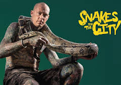 Snakes In The City