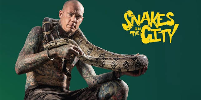11:00 PM: Snakes In The City | Nat Geo Wild | 11/1 2025