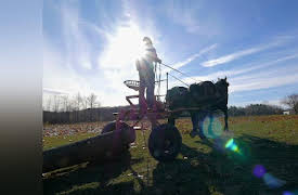 Growing Home: Horsepower & Red Deer