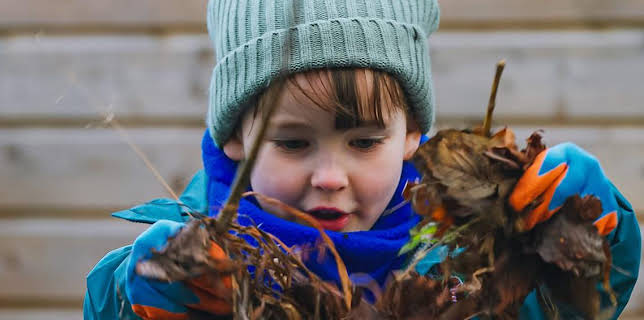 3:55 PM: Ranger Hamza's Eco Quest | Cbeebies | 3/1 2026