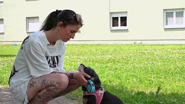 18:05: Hartz und herzlich - Tag für Tag Benz-Baracken | RTL 2 | 8/20 2026