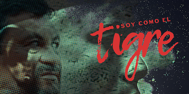 Soy Como el Tigre (2013)