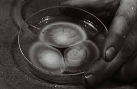 Top Ten Warfare Weapons Battles Leaders: Inventions