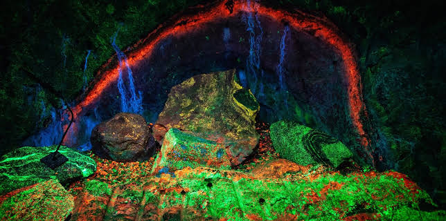 10:30: Geheime Welten - Reise in die Tiefe | ZDFinfo | 12/3 2025