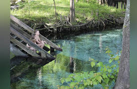 Top Secret Swimming Holes, Season 1: Palau's Jellyfish Lake