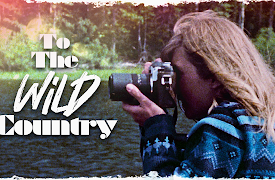 To the Wild Country: Kluane