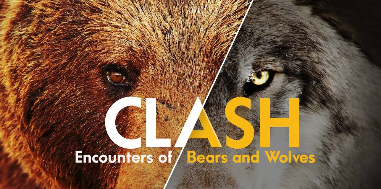 Clash: Encounters of Bears and Wolves (1982)