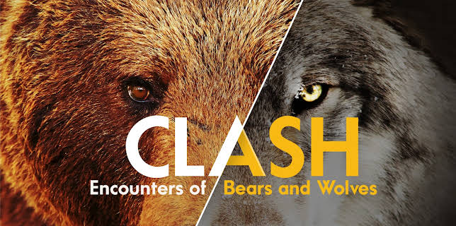 Clash: Encounters of Bears and Wolves (1982)