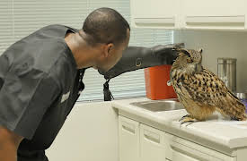 The Vet Life: Episode 6