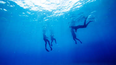 01:45: I'm Alive (S2 E9) (S2) | Animal Planet | 1/31 2026