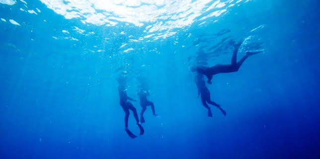 00:45: I'm Alive (S2 E9) (S2) | Animal Planet | 1/31 2026