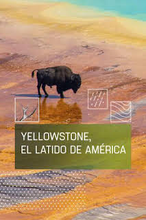 13:00: Yellowstone I. El latido de América | Caza y Pesca | 7/13 2026