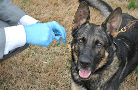 Murder By Numbers: Episode 2