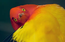 Absurd Planet: Absurd Is the Word