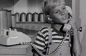 Dennis The Menace, Season One: Dennis And The Bike