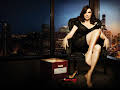 The Good Wife
