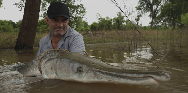 13:20: Giganten unter Wasser - Riesenfischen auf der Spur | Kabel Eins Doku | 2/13 2026