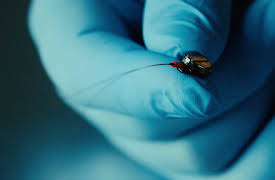 Spioneri genom historien: Hemlig insamling