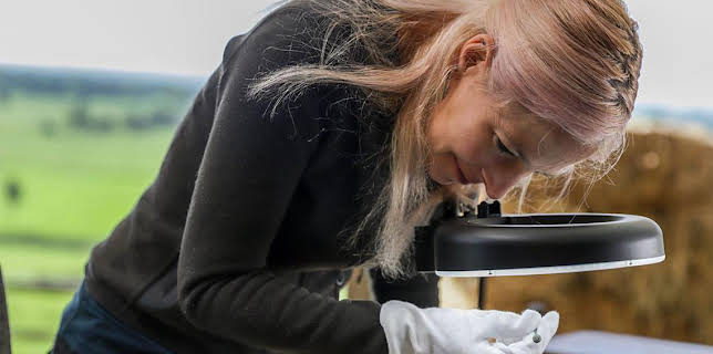 8:00 PM: Digging for Britain (S9 E4) (S9) | BBC Two | 3/10 2026