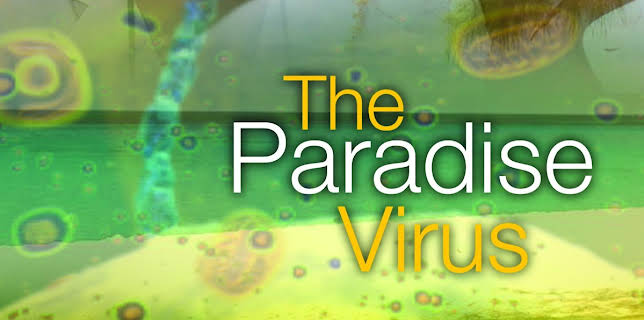 Paradise Virus (2003)