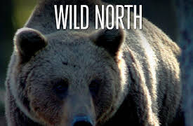 Wild North: The Mountains