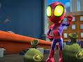 Spidey and His Amazing Friends