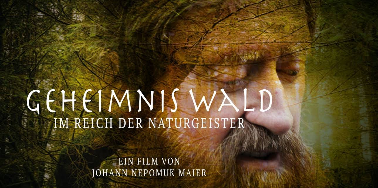 Geheimnis Wald (2022)