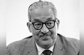 Liberty on Trial in America: Cases That Defined Freedom: Segregation on Trial