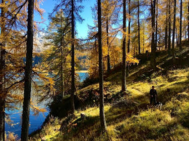 14:15: Traumseen der Schweiz: Herbstgeschichten am Wasser | 3SAT | 4/9 2026