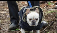 Resident Alien (T3): Ep.8 Vuelta a casa