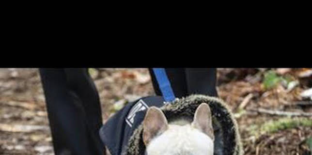 09:27: Resident Alien (T3): Ep.8 Vuelta a casa | SYFY | 1/9 2026