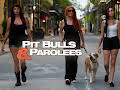 Pit Bulls & Parolees