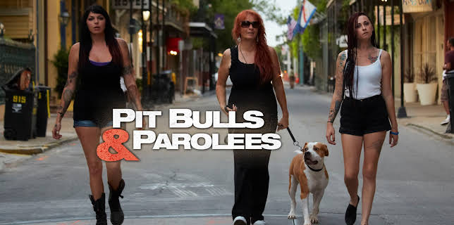 15:00: Pit Bulls & Parolees (S4 E4) (S4) | Animal Planet | 12/13 2025