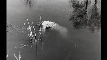 07:40: Mysteriöse Kriminalfälle der DDR | ZDFinfo | 4/16 2026