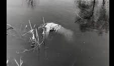 Mysteriöse Kriminalfälle der DDR