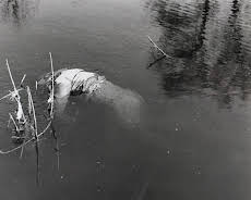 Mysteriöse Kriminalfälle der DDR