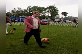 Going to the Dogs: Outdoor Daze