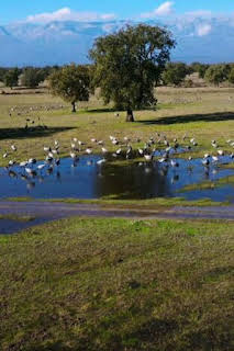 23:55: El lince con botas 3.0 | Canal Extremadura | 3/27 2026