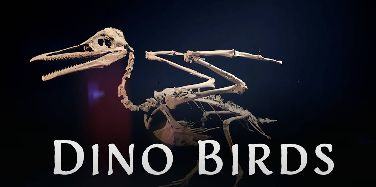 Dino Birds (2025)