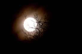 I Was Prey: Episode 2