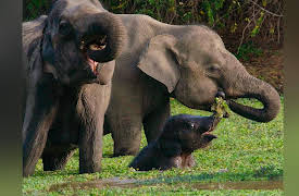 Island Of The Monsoon: Island Of The Monsoon