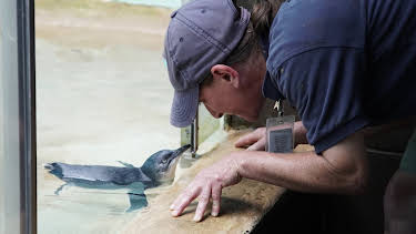 01:00: The Bronx Zoo (S1 E4) (S1) | Animal Planet | 2/16 2026