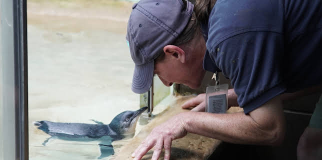 00:00: The Bronx Zoo (S1 E4) (S1) | Animal Planet | 2/13 2026