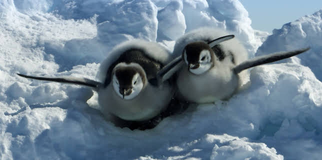 22:50: Ei iskald verd: Iskalde stader | NRK 2 | 10/29 2025