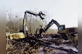 Swamp Loggers Season 1: Sink or Swim