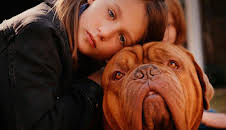 Meine Nachbarn mit dem dicken Hund
