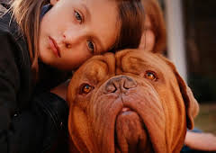 Meine Nachbarn mit dem dicken Hund